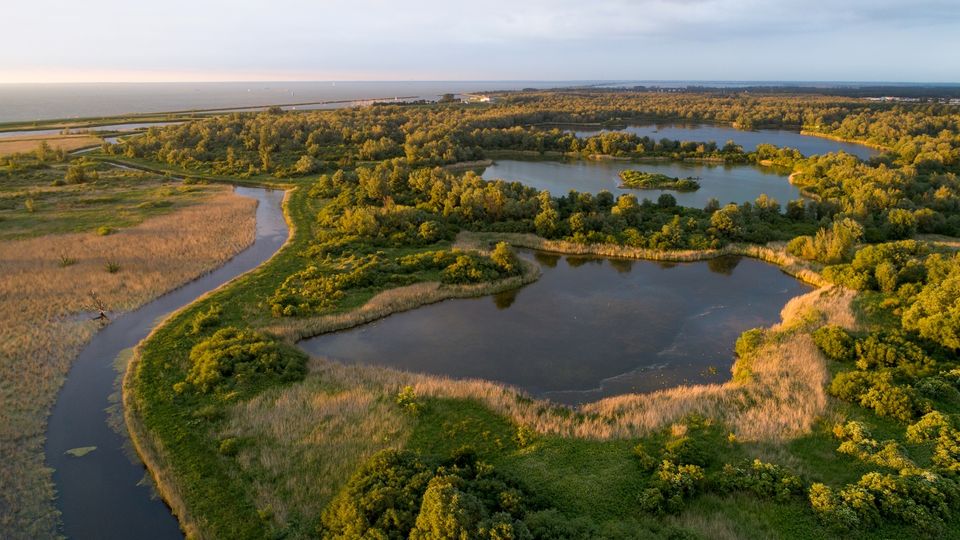 Luchtfoto van de Oostvaardersplassen bij zonsondergang